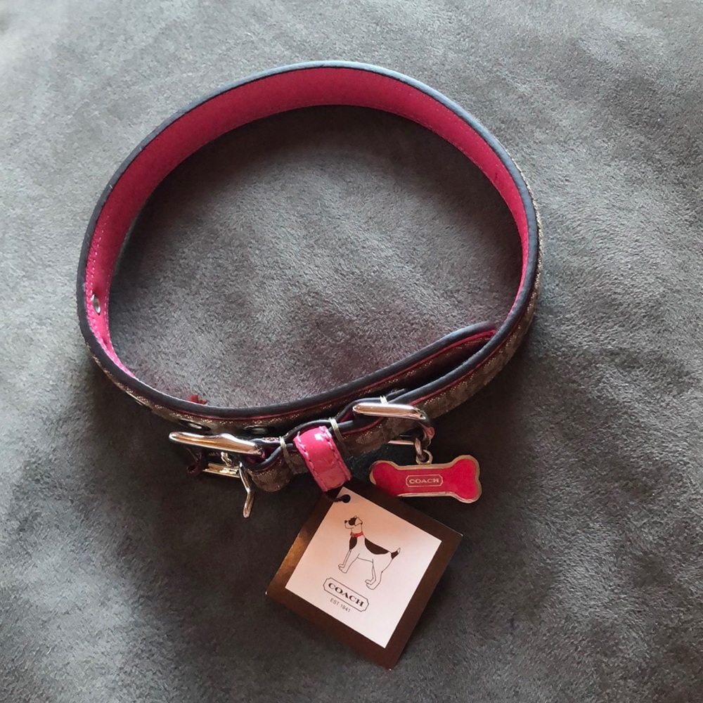 Coach Medium Sized Dog Collar